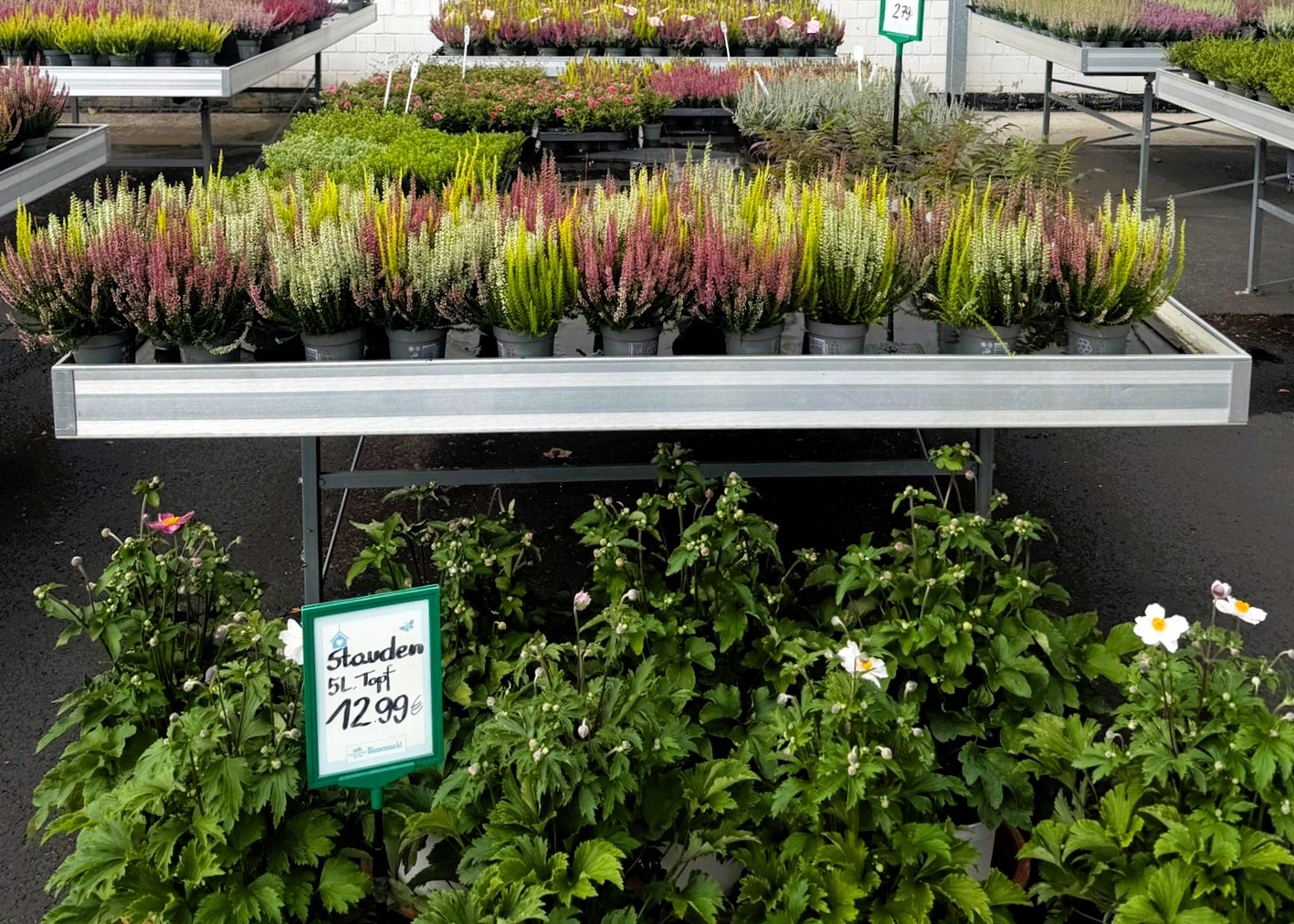 Monheimer Blumenmarkt